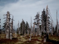 /album/fotogalerie7/img-2741-jpg/
